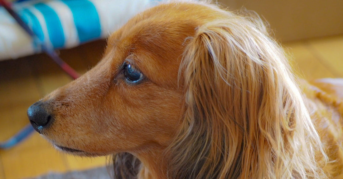 お盆期間中の発送について