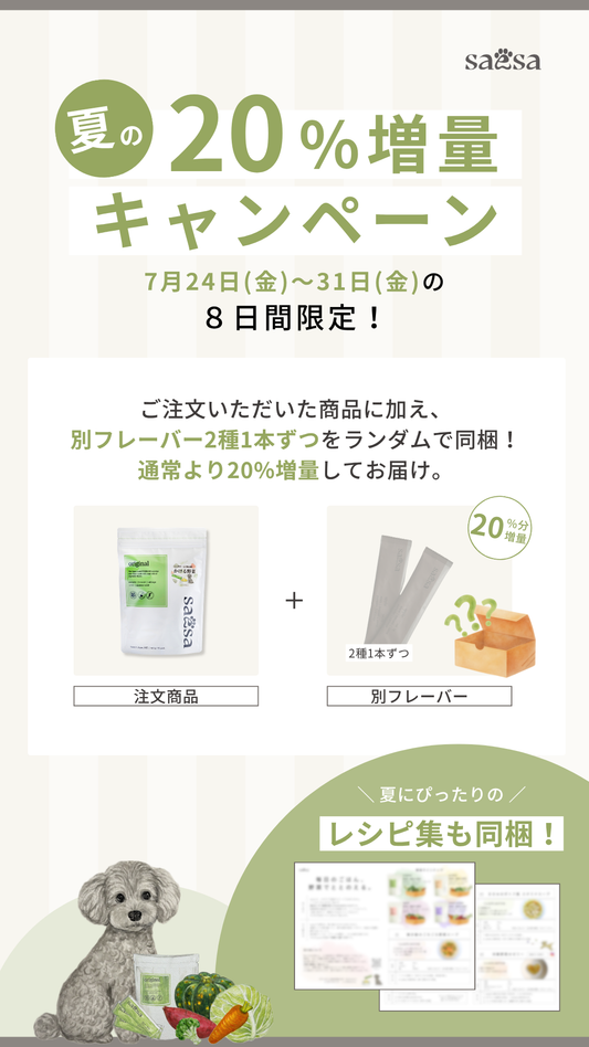 旅行のお供にsaesaを。夏の増量キャンペーンのお知らせ。【 2026年7月24日〜31日 】